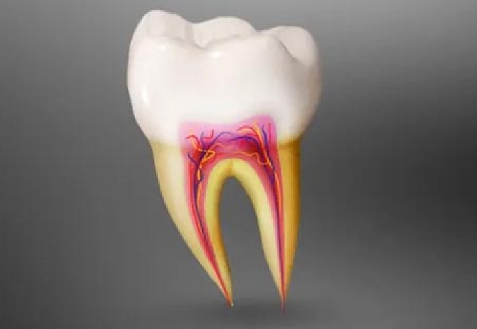 Save Your Natural Tooth with Root Canal Treatment in Cary, NC